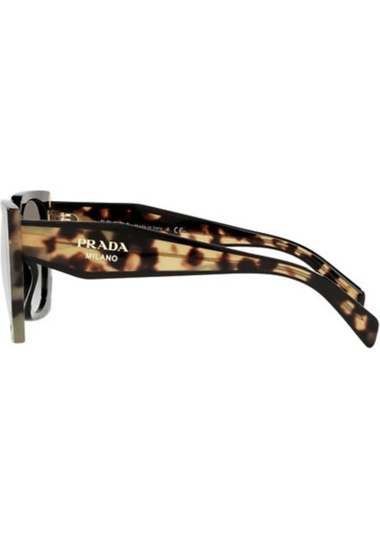 15WS 3890A7 54 Kadın Güneş Gözlüğü fiyatları