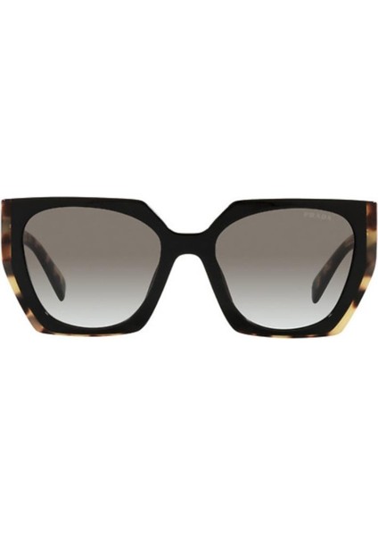 15WS 3890A7 54 Kadın Güneş Gözlüğü modelleri