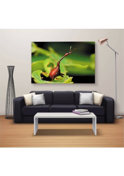 - Dekoratif Baskı Özel Tasarım Dikdödrtgen Kanvas Tablo 1338