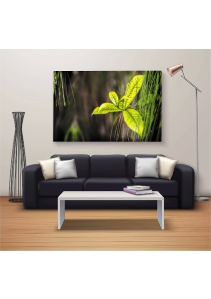 Marsilyan- Dekoratif Baskı Özel Tasarım Dikdödrtgen Kanvas Tablo 1367