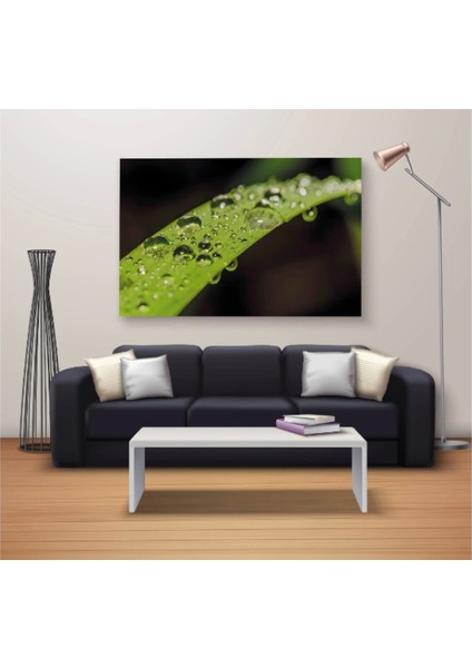 Marsilyan- Dekoratif Baskı Özel Tasarım Dikdödrtgen Kanvas Tablo 1368