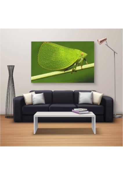 Marsilyan- Dekoratif Baskı Özel Tasarım Dikdödrtgen Kanvas Tablo 1315