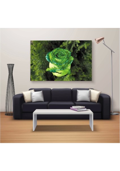 Marsilyan- Dekoratif Baskı Özel Tasarım Dikdödrtgen Kanvas Tablo 1260