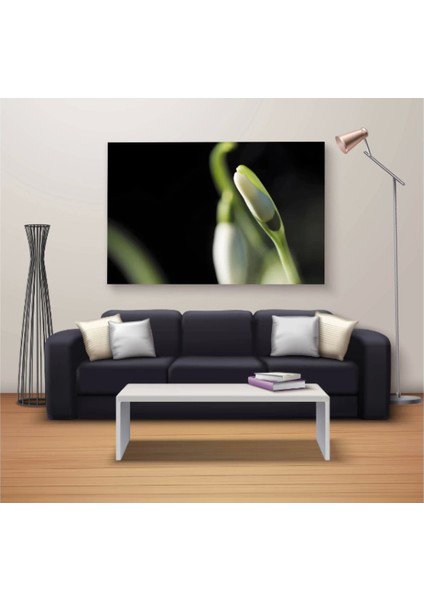 Marsilyan- Dekoratif Baskı Özel Tasarım Dikdödrtgen Kanvas Tablo 1314