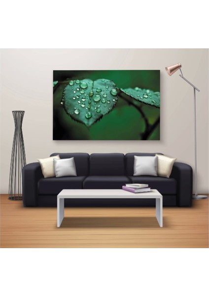 Marsilyan- Dekoratif Baskı Özel Tasarım Dikdödrtgen Kanvas Tablo 1374