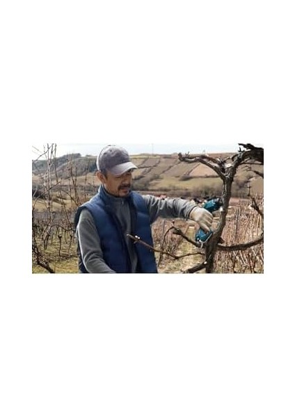 Professional Pro Pruner Akülü Bahçe Makası (12 Volt, Solo, Ahşapta Kesme Kapasitesi (Ağaç Dalı): 25 Mm, Karton Kutuda)