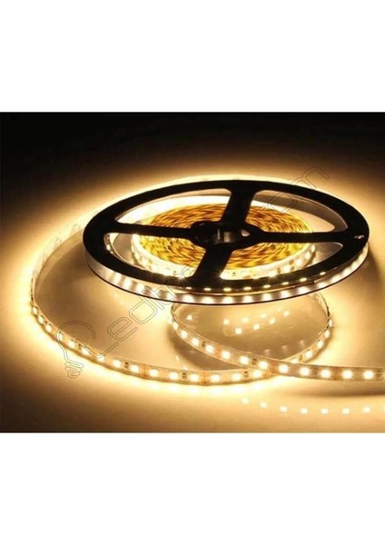Gün Işığı Şerit LED Iç Mekan - 1 Metre