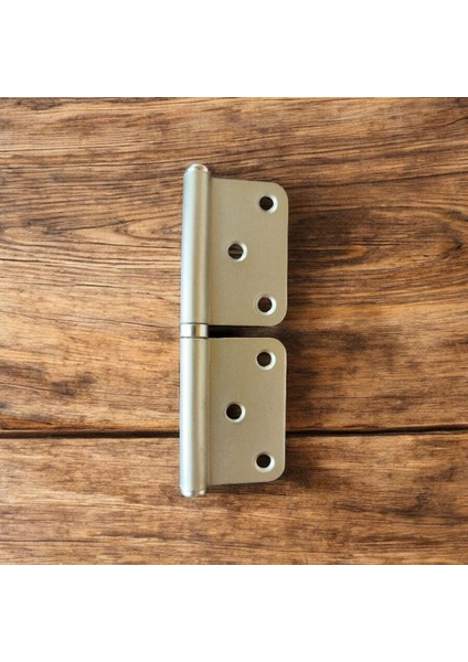 Panel Kapı Menteşesi Çelik Yönsüz Kırılmaz Paslanmaz 2 mm