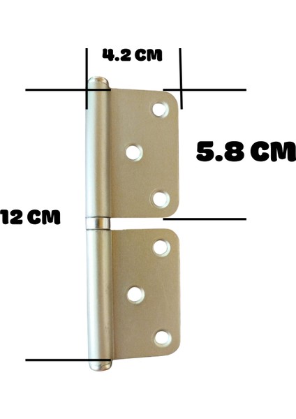 Panel Kapı Menteşesi Çelik Yönsüz Kırılmaz Paslanmaz 2 mm