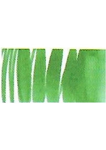 Aqua Brush Duo Marker - Emerald Green L6520063 fiyatları