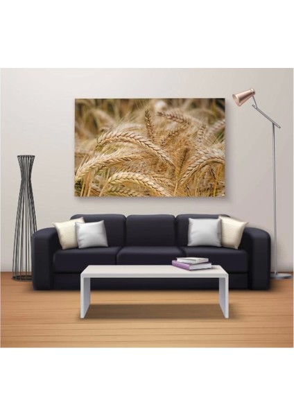 - Dekoratif Baskı Özel Tasarım Dikdödrtgen Kanvas Tablo 1758