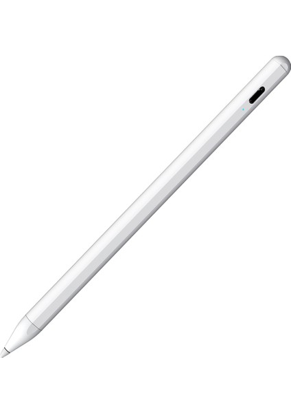 5. Nesil Manyetik Emilim Kalemi iPad Tablet Için Yanlış Dokunmatik Önleyici Aktif Kapasitif Kalem (Yurt Dışından)