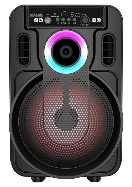 20W 2400 Mah Kablolu Mikrofonlu Bluetooth Hoparlör BTS-420