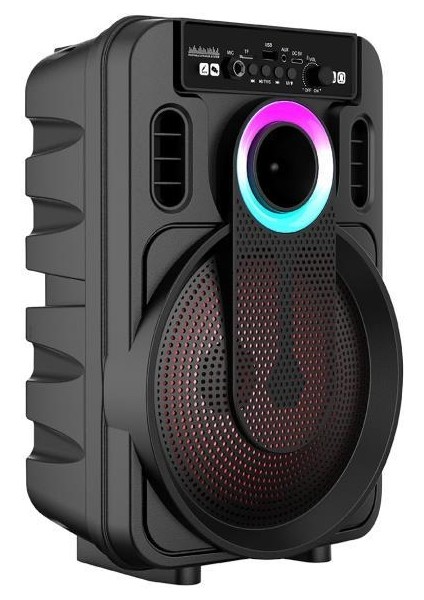20W 2400 Mah Kablolu Mikrofonlu Bluetooth Hoparlör BTS-420