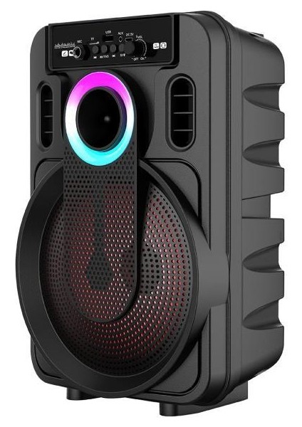 20W 2400 Mah Kablolu Mikrofonlu Bluetooth Hoparlör BTS-420
