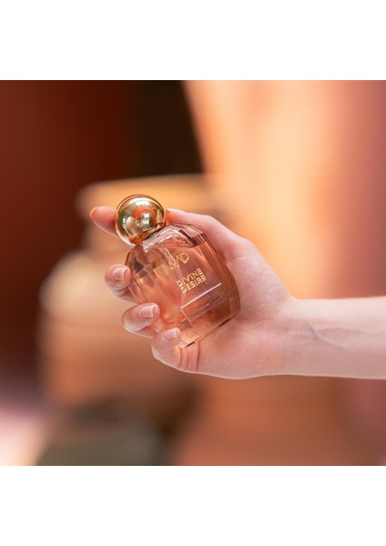 Divine Desire 100 ml Kadın Parfüm