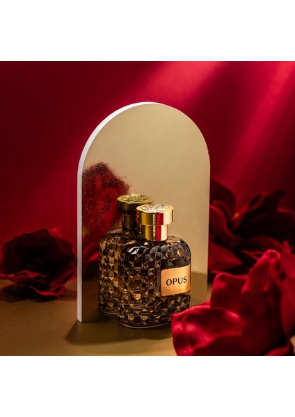 Opus 100 ml Erkek Parfüm