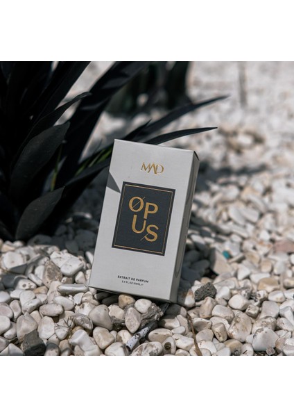 Opus 100 ml Erkek Parfüm