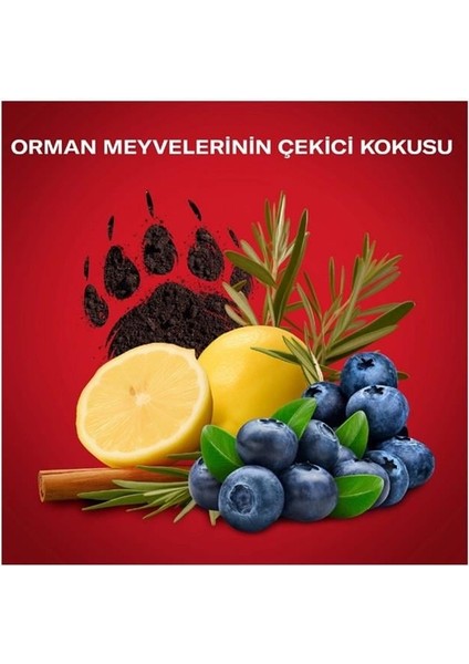 Bearglove Erkekler İçin Duş Jeli ve Şampuan 400 ml