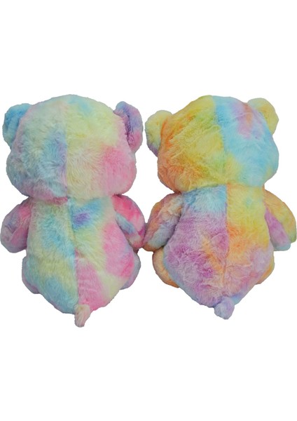 Renkli Peluş Ayı 50 cm 62918