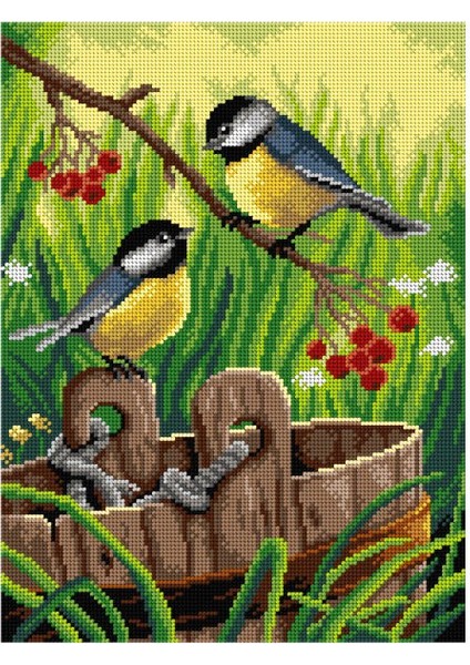 Baskılı Goblen Kuşlar 3049 30*40 cm