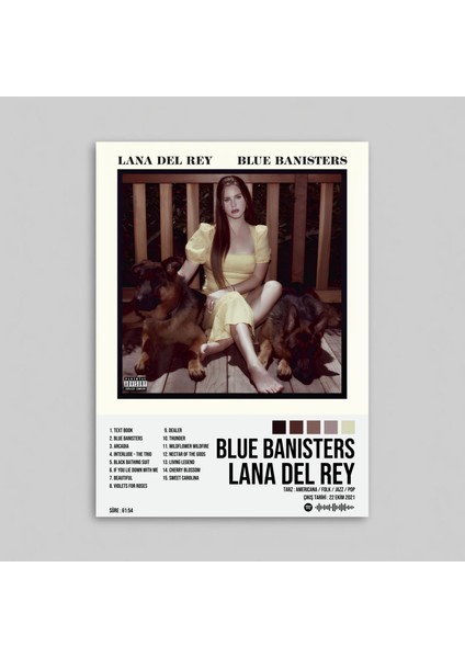 Lana Del Rey - Blue Banisters Albüm Spotify Çerçeveli - Çerçevesiz Poster Tablo