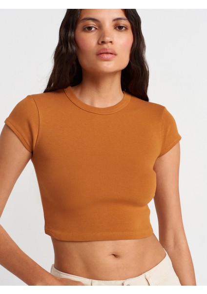 31810 Bisiklet Yaka Crop T-Shirt-A.kiremit