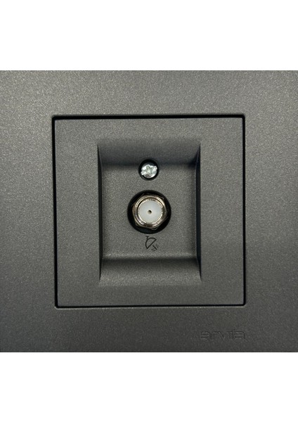 Arvia Karen Metalik Siyah Uydu Prizi (F Konnektör) Modül