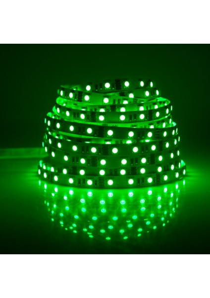Iç Mekan LED 4040 Yeşil 5mt