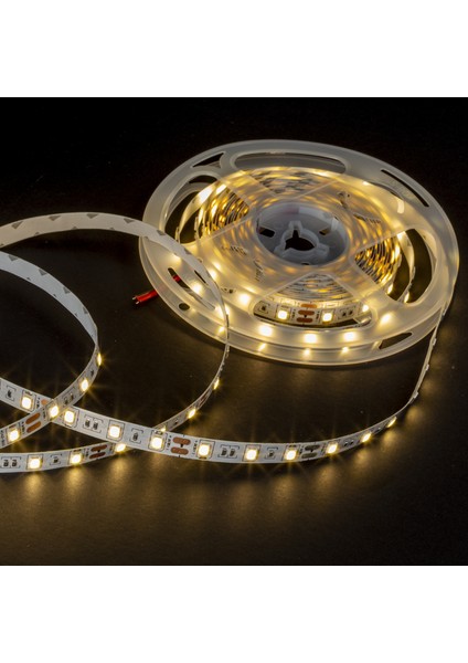 Iç Mekan LED 4040 Günışığı 5mt