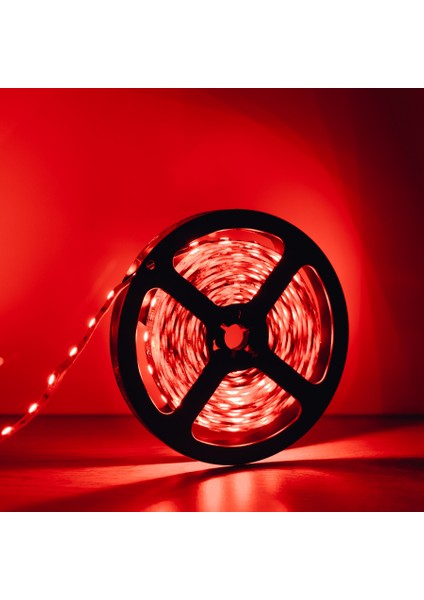 Iç Mekan LED 4040 Kırmızı 5mt