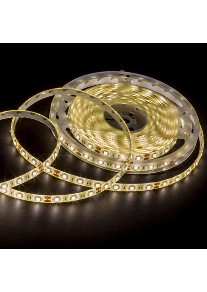 Dış Mekan LED 4040 Günışığı 5mt