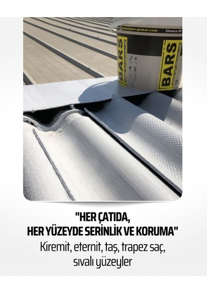 Isı ve Su Yalıtımlı Çatı Kaplama Boyası - Su Bazlı, Ultra Beyaz, Esnek, Procool Roof 320