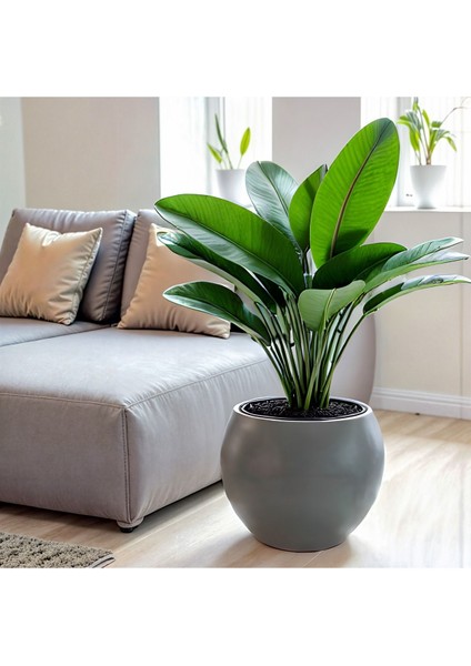 Küre Saksı Yuvarlak Saksı Modern Dekoratif Iç Hazneli Plastik 27 Litre Koyu Antrasit