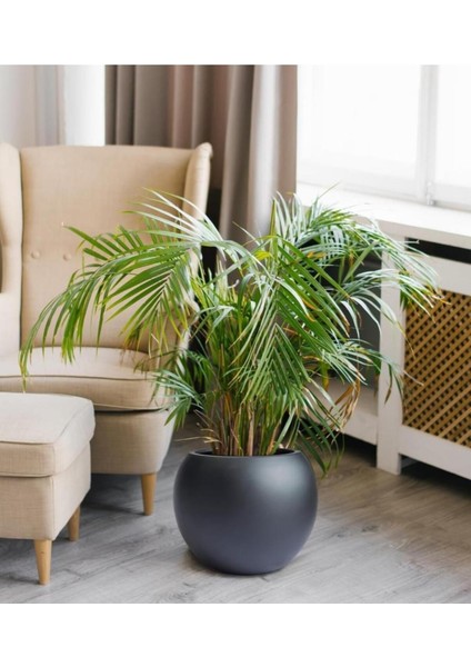 Küre Saksı Yuvarlak Saksı Modern Dekoratif Iç Hazneli Plastik 27 Litre Koyu Antrasit fırsatları