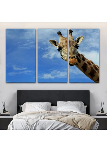 - Zürafa Dekoratif Kanvas Tablo 1116 modelleri