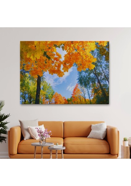 - Sarı Yapraklı Sonbahar Manzarası Duvar TABLOSU-1236