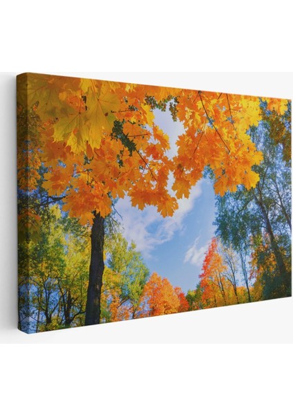 - Sarı Yapraklı Sonbahar Manzarası Duvar TABLOSU-1236 fiyatları