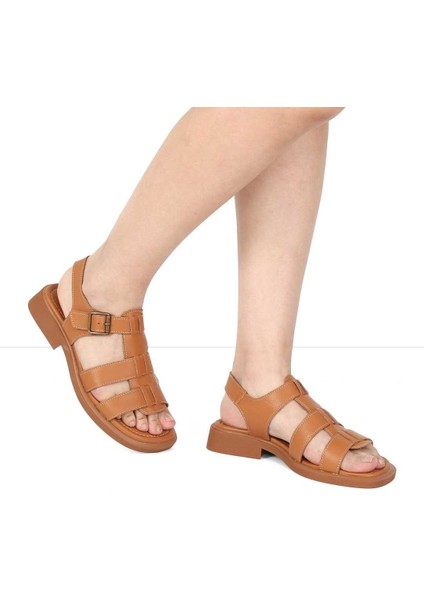 Kadın Taba Tokalı Gladyatör Deri Sandalet