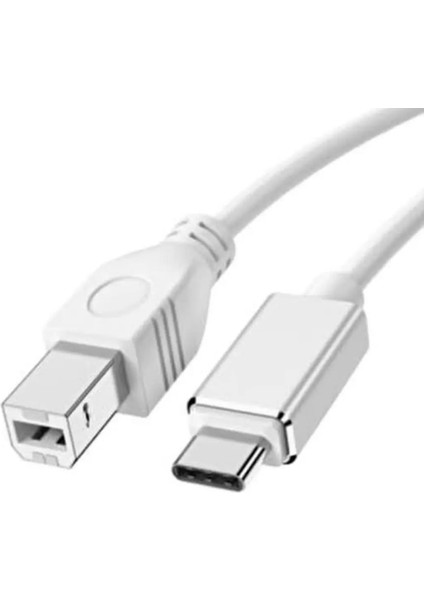 Type-C Yazıcı Kablosu 2 M