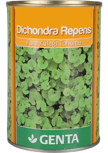 Dichondra Repens Fare Kulağı Kundura Çimi Tohumu 250 gr