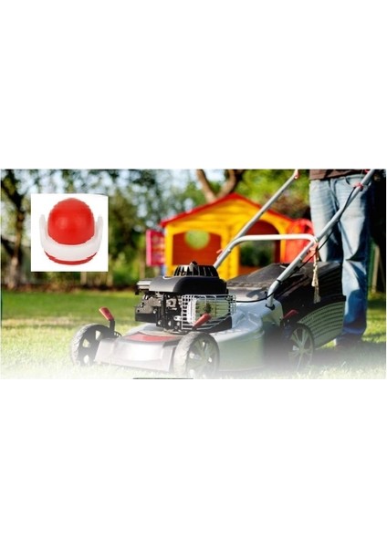 OR-49058 Karb Benz.supabı B&s 3,5-4hp modelleri