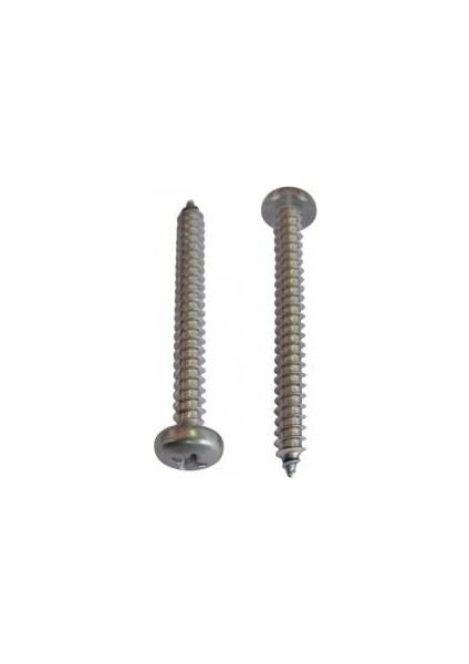 M3 Mercimek Başlı Yıldız Vida Paslanmaz Çelik 5X13 28 Adet