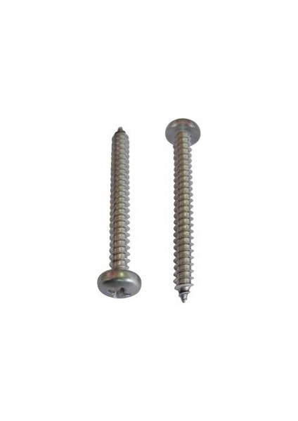 M3 Mercimek Başlı Yıldız Vida Paslanmaz Çelik 5X13 28 Adet