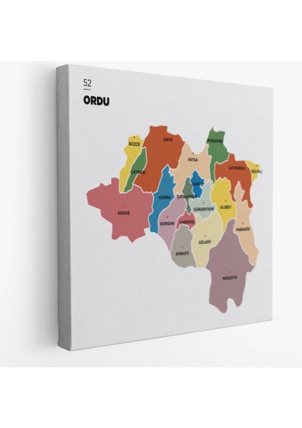 - Ordu Ili ve Ilçeler Haritası Dekoratif Kanvas Tablo 1434 fiyatları