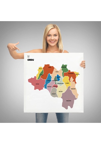 - Ordu Ili ve Ilçeler Haritası Dekoratif Kanvas Tablo 1434 modelleri