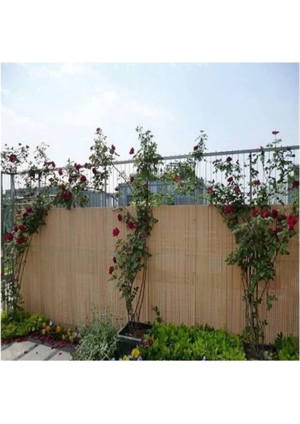 Bambu Kamış Hasır 1,20 Metre x 4,50 Metre