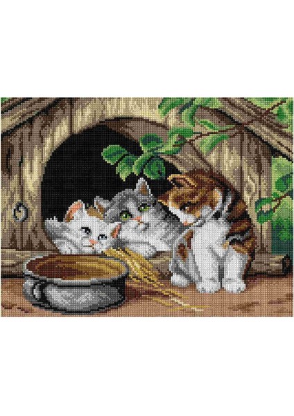 Baskılı Goblen Kediler 2884 30*40 cm