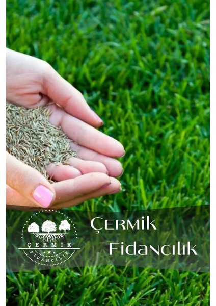 6 Karışımlı Dört Mevsim Ekilen Çim Tohumu 5 Kğ