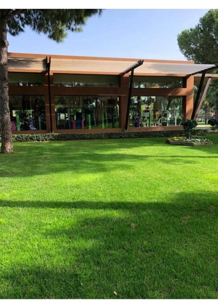 6 Karışımlı Dört Mevsim Ekilen Çim Tohumu 5 Kğ fırsatları